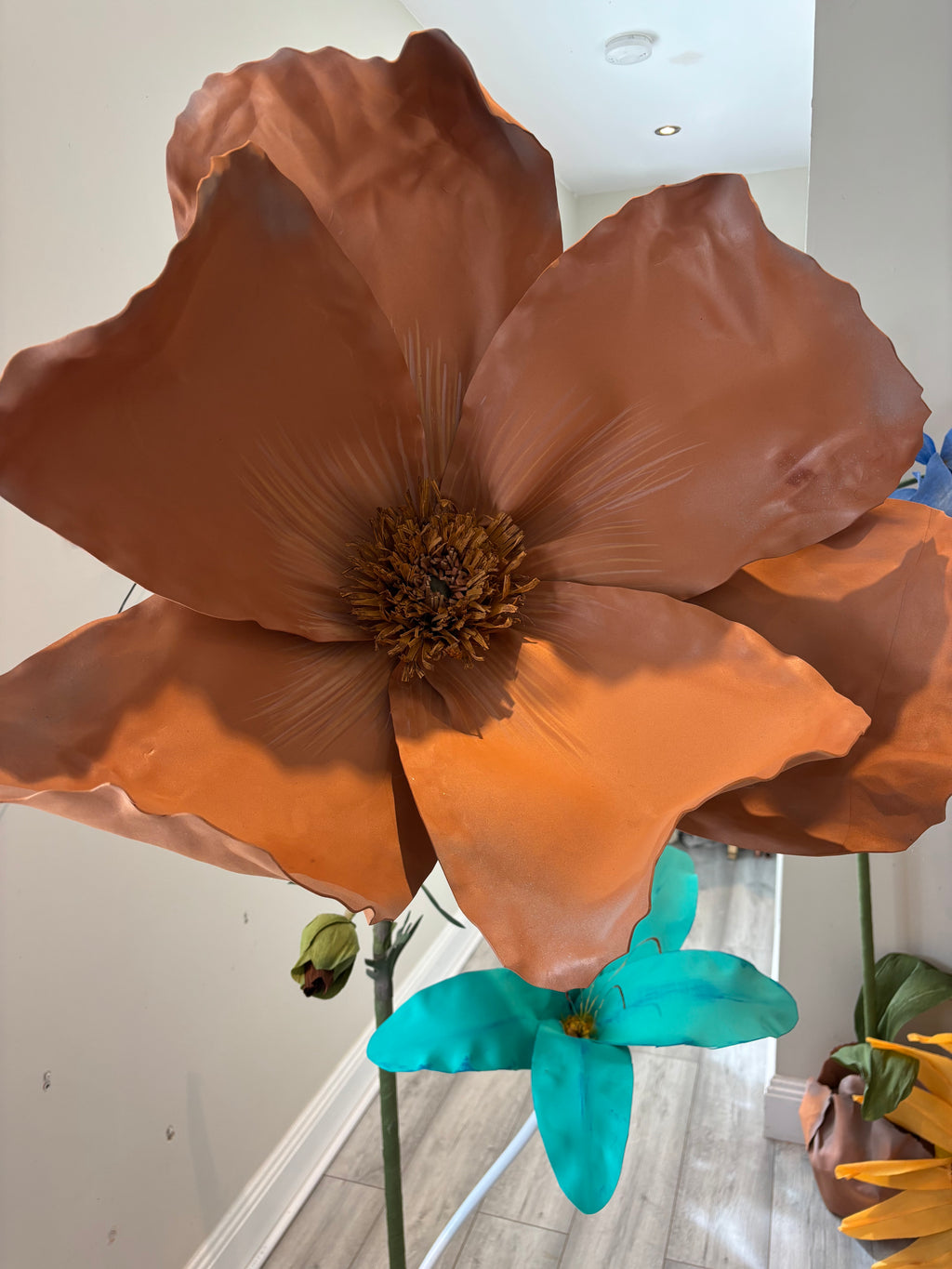 Brown Poppy